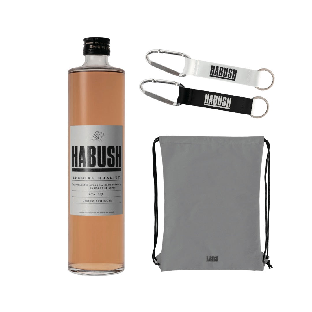 【9/17 18:00〜販売開始】 HABUSH FES SET（GRAY）